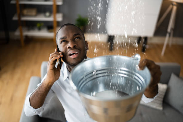 Best Mold removal after water damage  in Daphne, AL