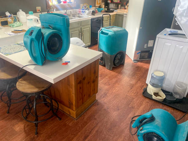 Best Water damage repair service  in Daphne, AL