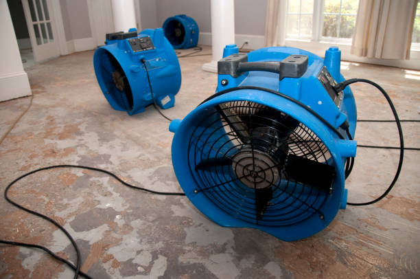 Local water damage restoration in AL