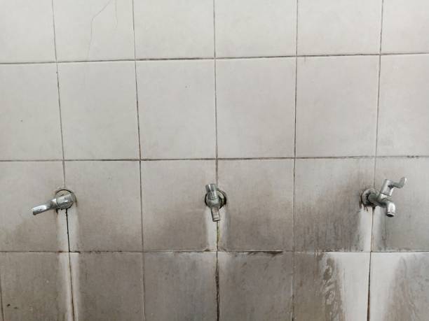 Best Water damage contractors near me  in Daphne, AL