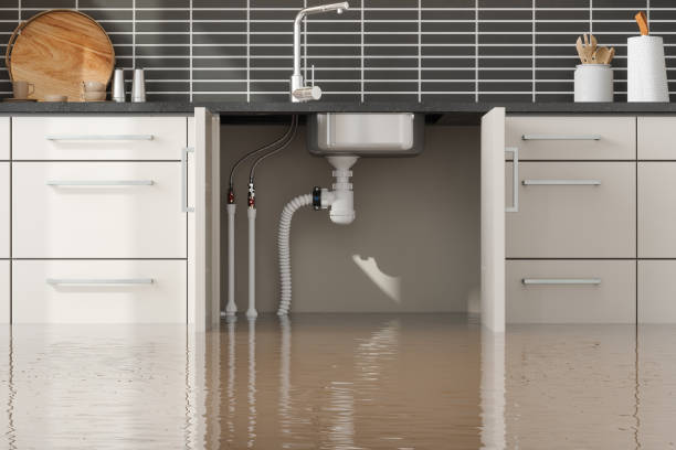 Best Water damage mitigation services  in Daphne, AL