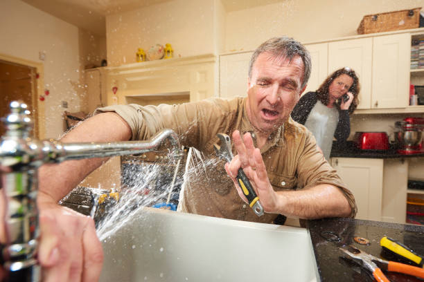 Best Carpet water damage restoration  in Daphne, AL